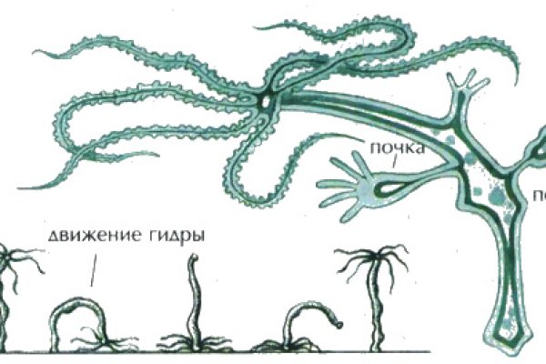 Кракен сбой