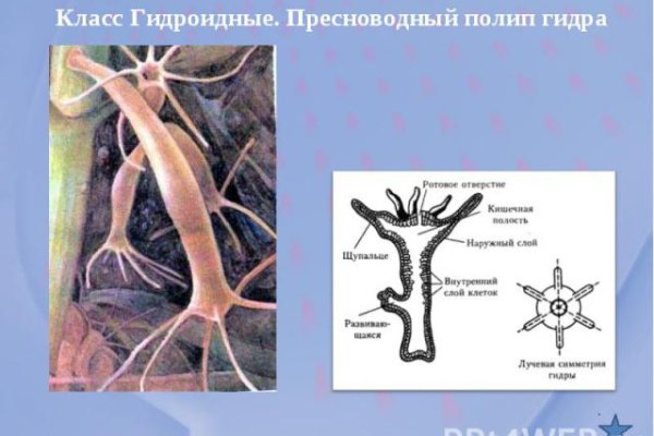 Как через сафари зайти на кракен